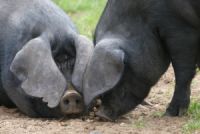 ???????????????????????????????????????????????????????????????????????????????