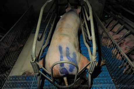 556603_10152104860180422_369496804_n