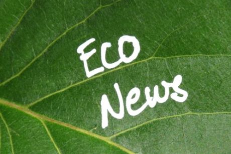 ????????????????????????????????????????