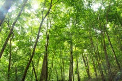 ????????????????????????????????????????????????????????????????????????????????????????????????????????