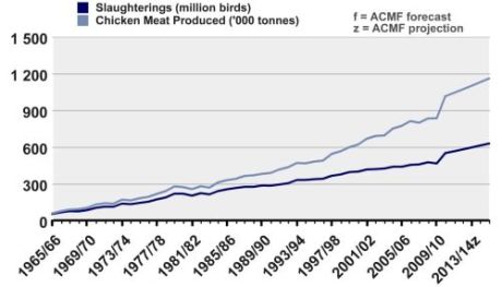 Chicken-Meat-Production-detailed-2-resized