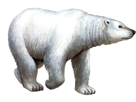 ????????????????????????????????????????????????????????????????????????????????????????