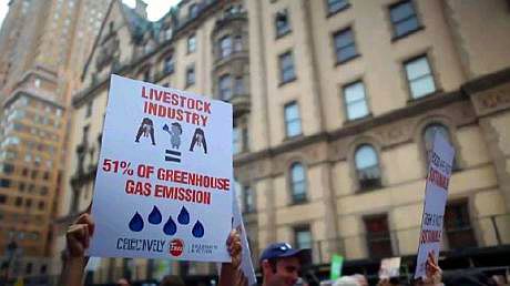 51-percent-poster-enhanced