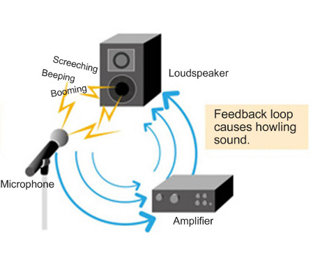 acoustic_feedback_mechanism
