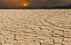 ???????????????????????????????????????????????????????????????????????????????????????????????????????????????????????????