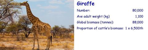 Biomass-comparison-giraffe-cropped