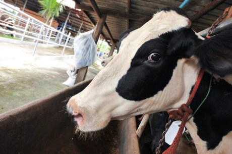 dreamstime_xs_39665629