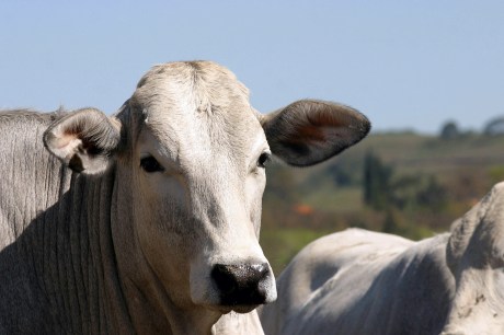 dreamstime_m_51002015