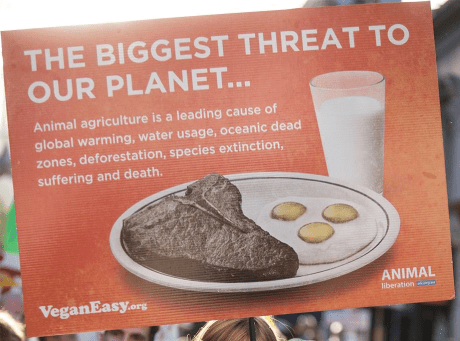 12316640_10154575915887195_1614374424150659292_n