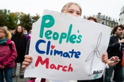 dreamstime_xs_44876628