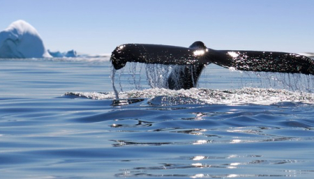 shutterstock_543672994-e1521035387949